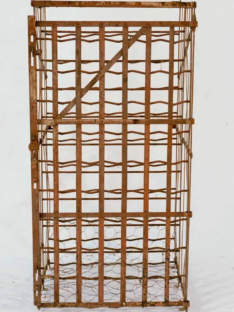 19th-century French wall-mount iron wine storage cage - 72 bottles, 45" x 22"