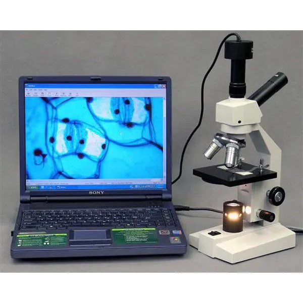 AmScope D120 Series Dual-view Monocular Student Compound Microscope with Mechanical Stage