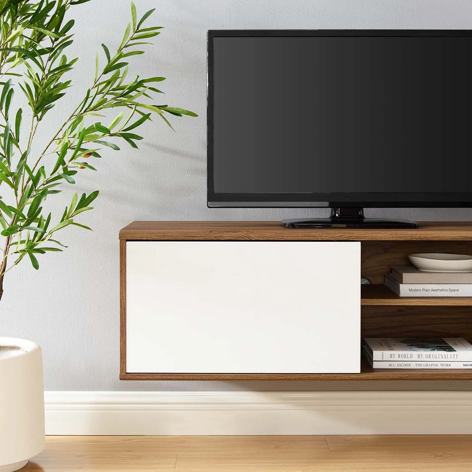 Envision  Wall Mount TV Stand