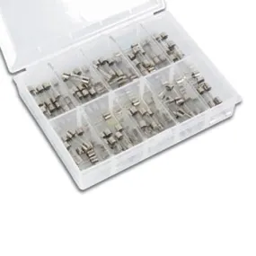 Fuse Set 100 pcs, 5 x 20 mm Slow