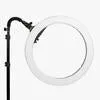 Premium Youtube Lighting  Platinum Pro II Ring Light and Crystal Luxe LED Lights Kit